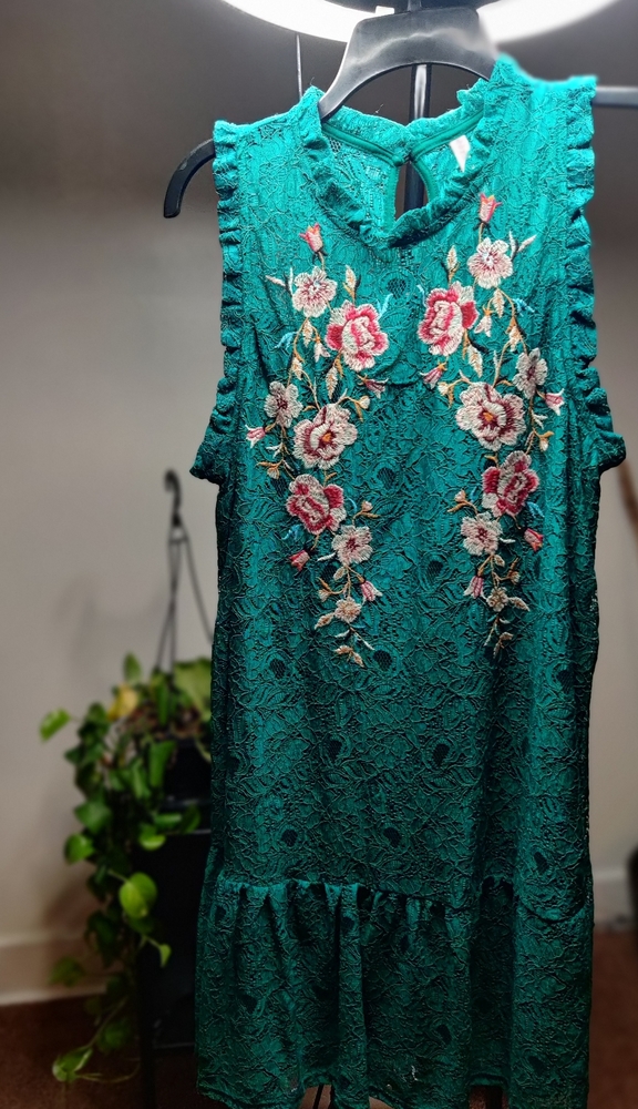 Lace Floral Print Dress